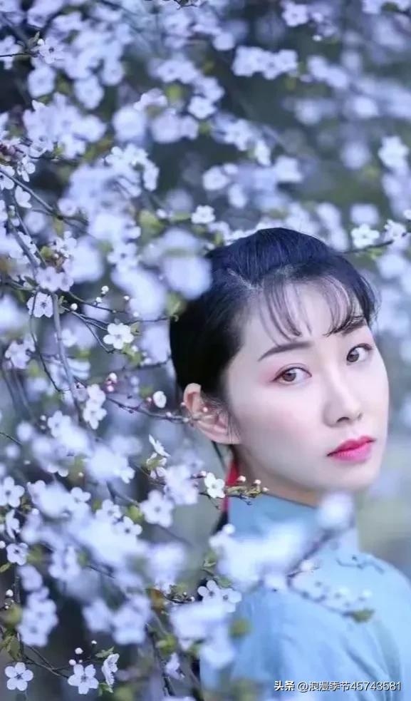 寻了半生的春天你一笑便是了英文,寻了半生的春天你一笑便是了翻译