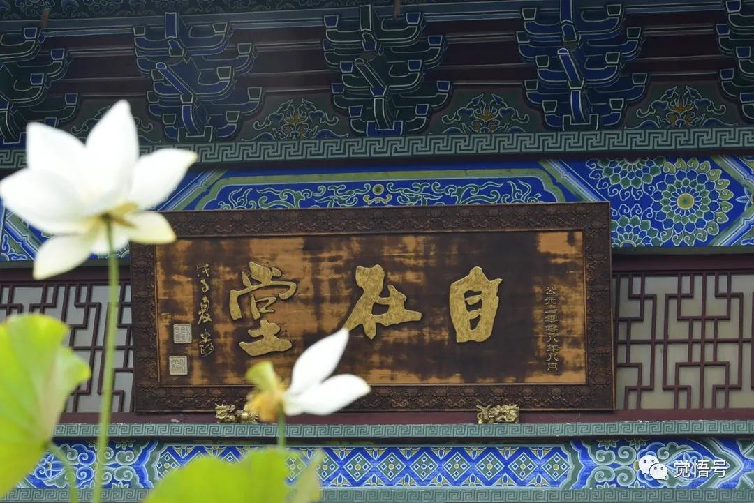 一文看懂背后的真相,一文揭开真相