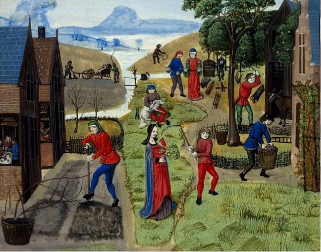 关于世界中世纪史教学改革的思考