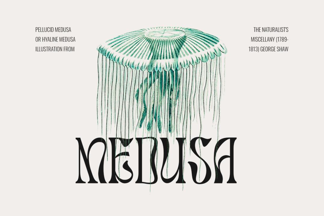 ttf纯英文好看字体,ttf英文字体