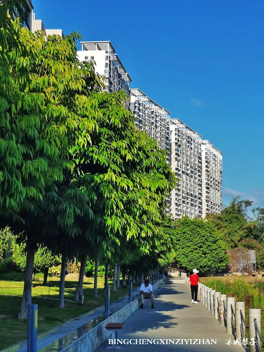 旅居海南：九所新区的浪漫情