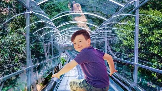 驻马店哪些景区对优待证免门票 (驻马店旅游免门票吗)