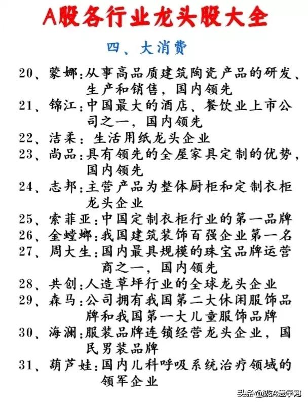 2019年各细分行业龙头股一览表,2023年各行业龙头股清单