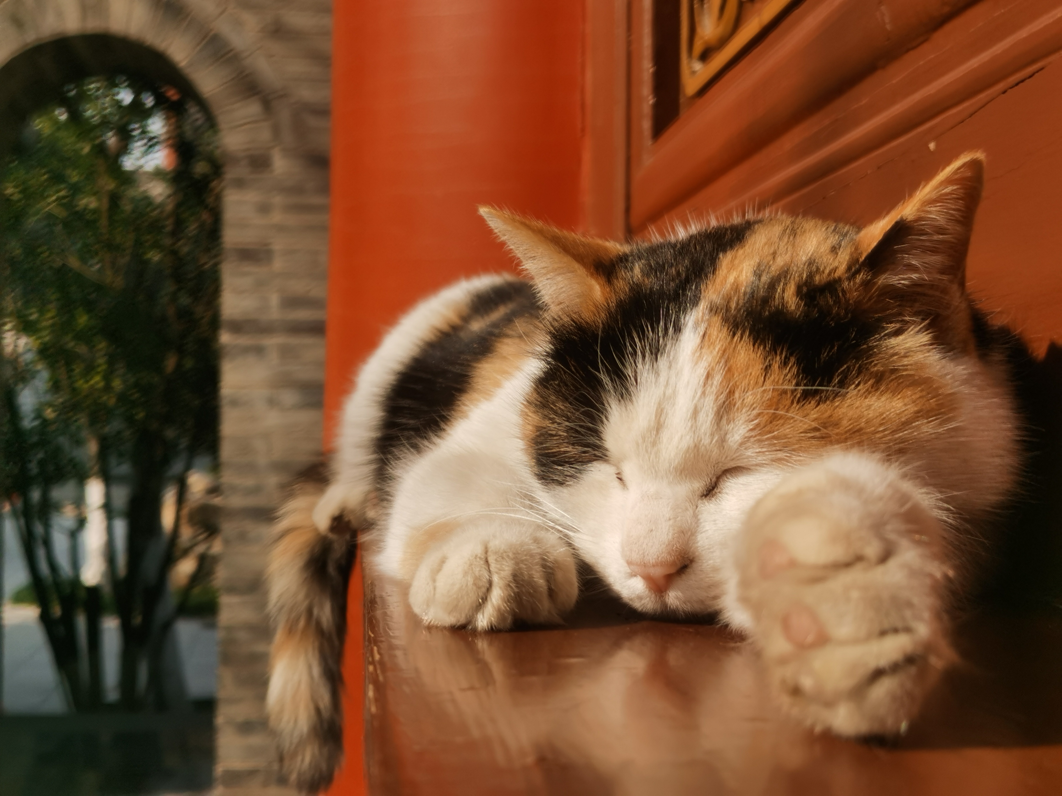 咸阳2天的短途旅游,咸阳出发三日穷游攻略