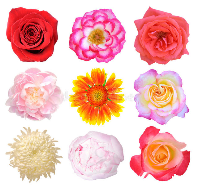 如果一个男人心里有你却不理你,当一个男人心里没有你该怎么办