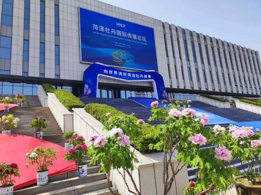 牡丹花开出日中友好情缘