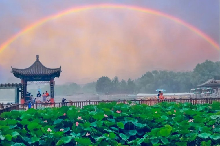 24个技巧，再助你手机拍大片！（影展点评第552期）