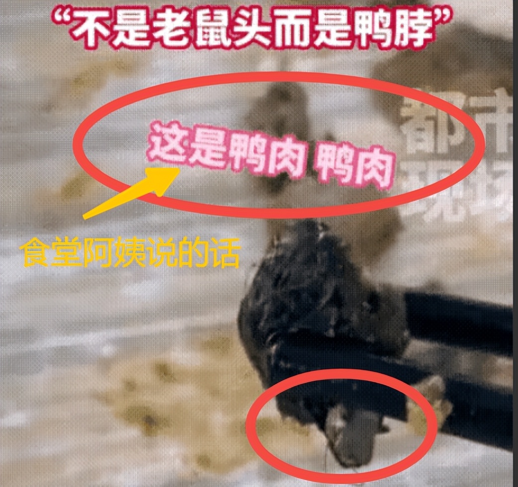 闹大了！“老鼠头事件”，教育厅出马，会不会有人已经瑟瑟发抖？