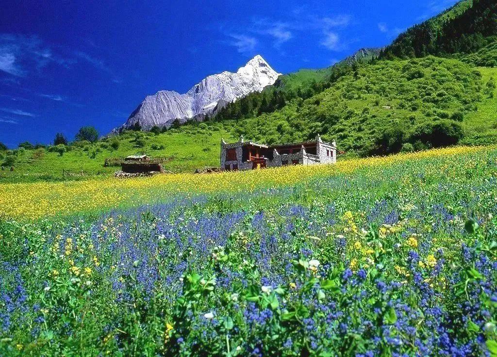 8月出游去哪儿？20条精品旅游线路带你畅享假日活力