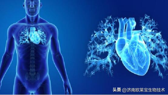 病毒性心肌炎一般多久能自愈,新冠阳性后出现心肌炎会自愈吗