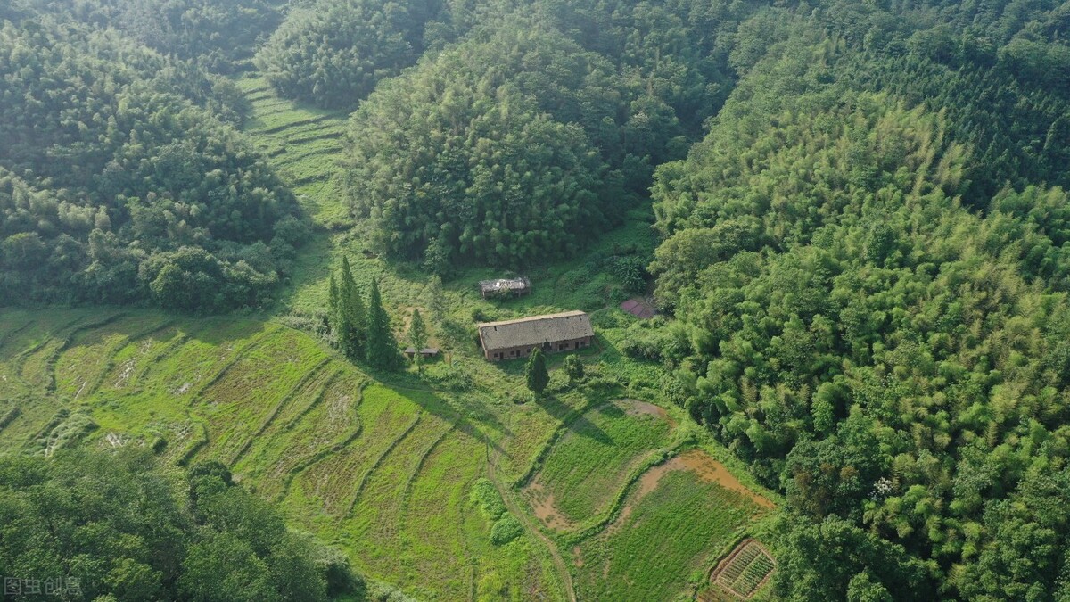 谁言寸草心报得三春晖的解释,谁言寸草心报得三春晖什么意思