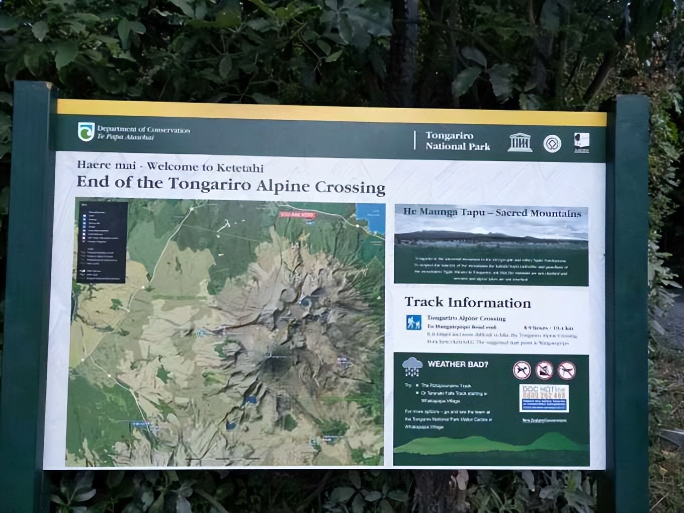 出国去新西兰打工旅游攻略,新西兰打工旅游指南