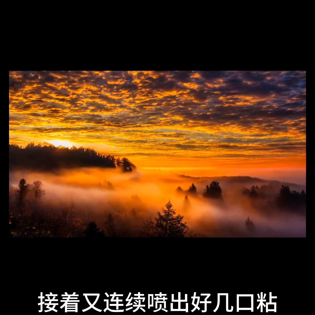 诡道传人蛇从革,诡道传人最新全部章节在线阅读