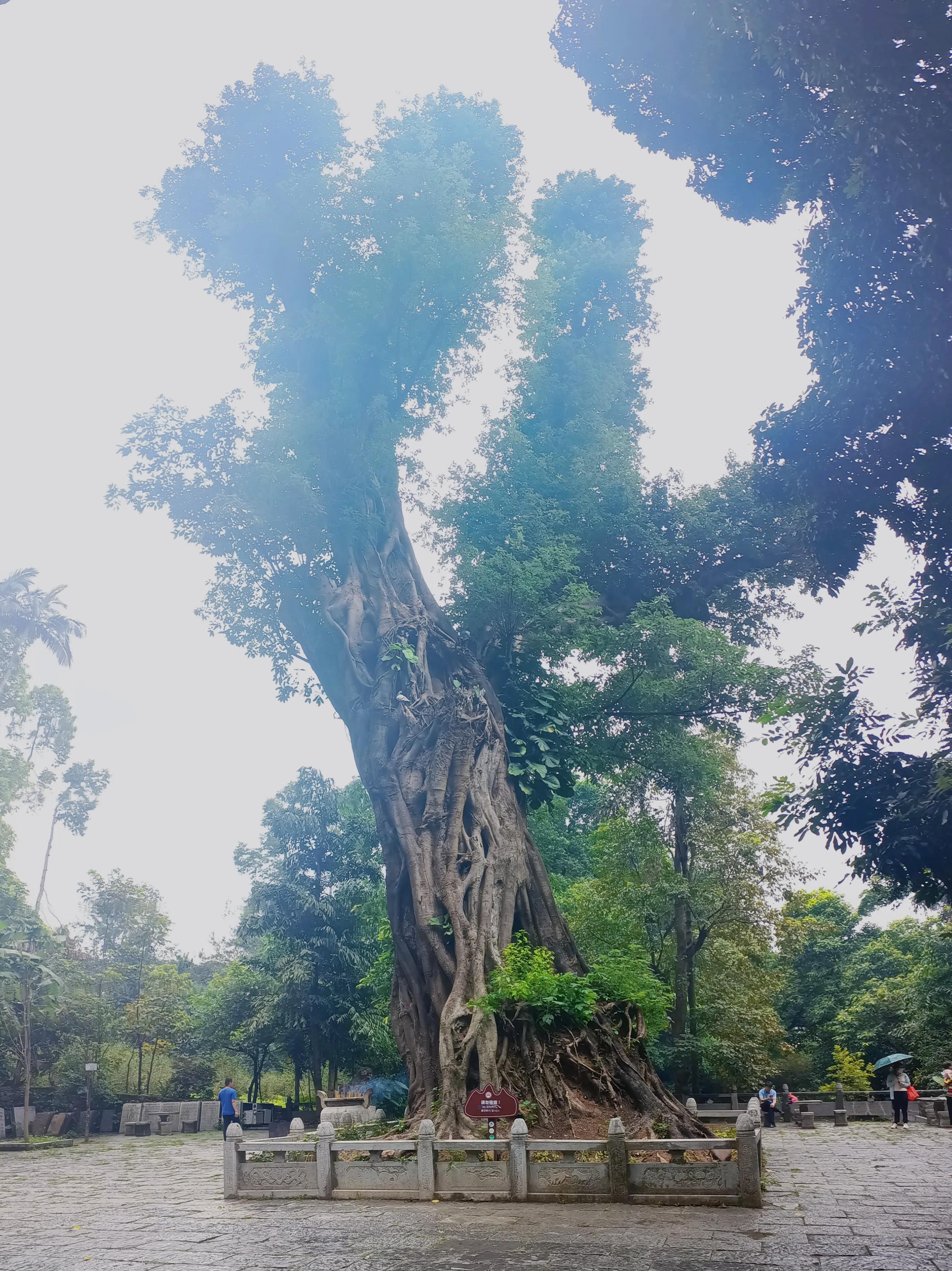 桂平西山一日游最佳攻略,桂平西山风景区图片