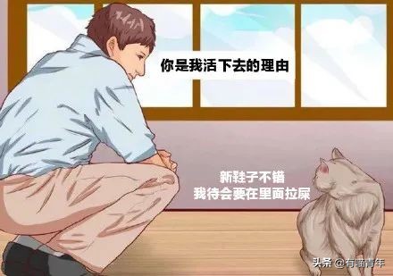 公鸡：他们在做啥午餐？猫：你老婆炖土豆