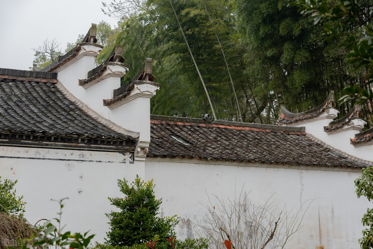 若有所思原唱,乌镇之恋深度解析