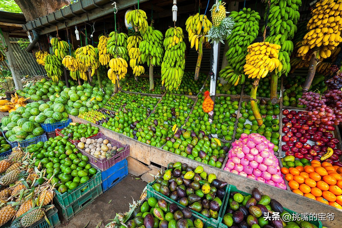 马来西亚特别推荐的水果,华人在马来西亚所占的比例