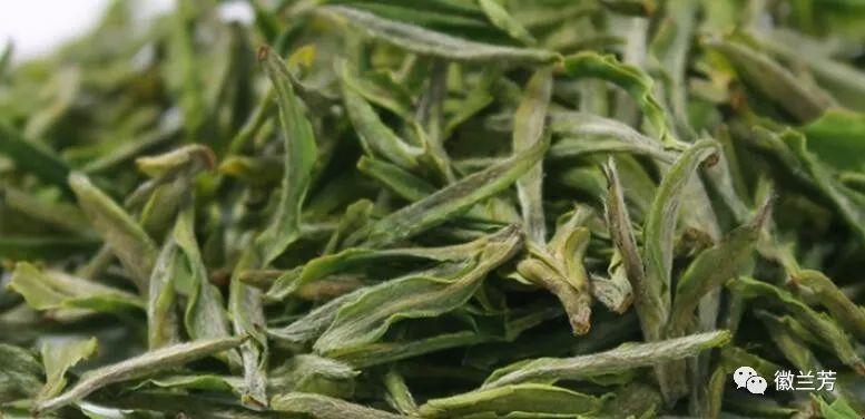 为什么买的茶叶那么绿,买茶注意什么事项