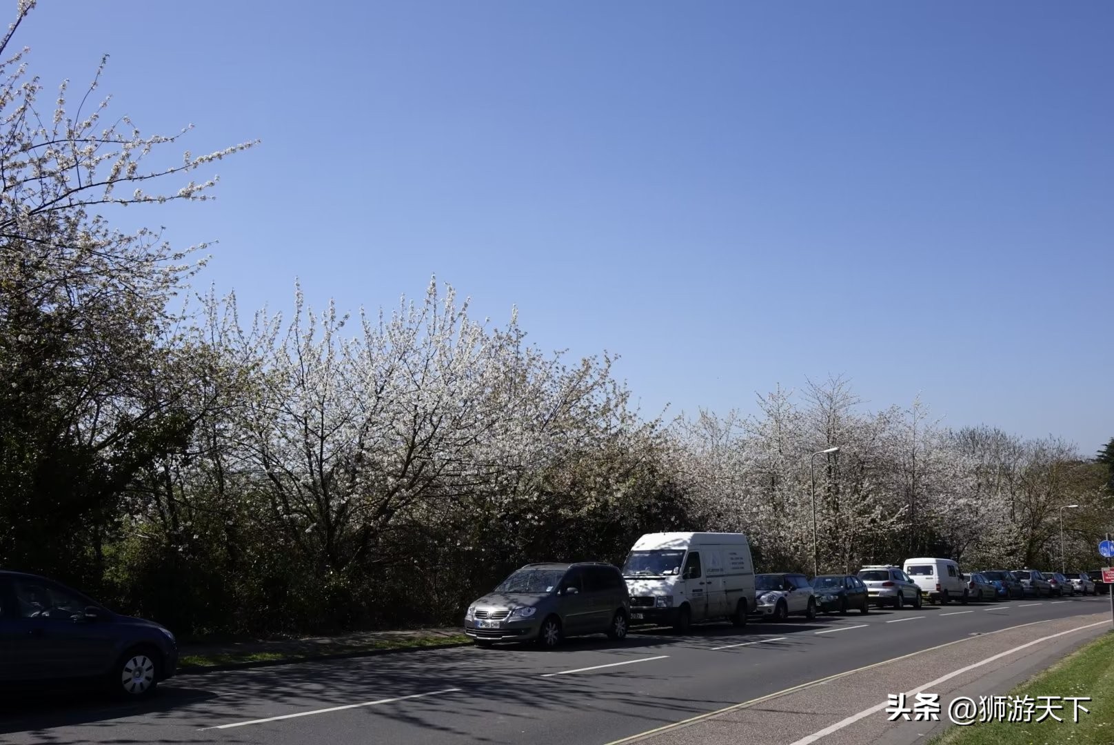 英国本科陪读,英国陪读住宿