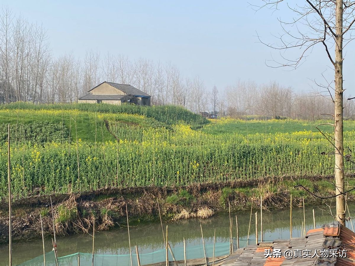 我，湖北人，国企躺平的咸鱼，摆地摊走上生意路，35岁退休当地主