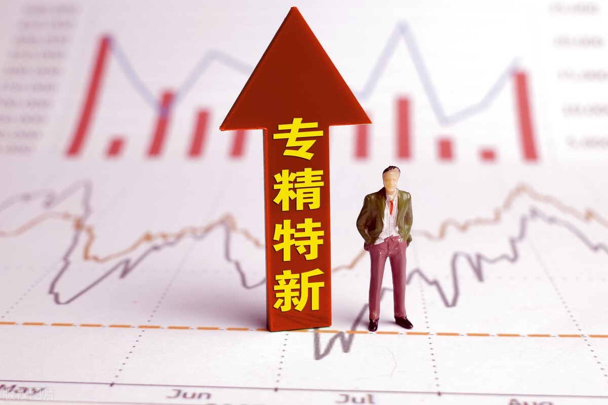 专精特新的龙头股票有哪些,专精特新有哪些低价股