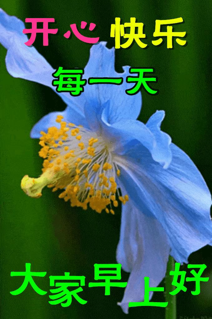 庚子日柱2023年癸卯年运势,癸卯年2023年哪个月出生最好