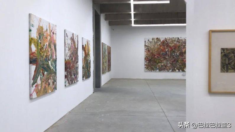 马树奇趣秀用脚画画,所有在脚心里画画的人