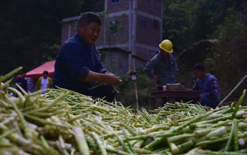 良品铺子野山笋官方旗舰店零食,好原料造就好味道