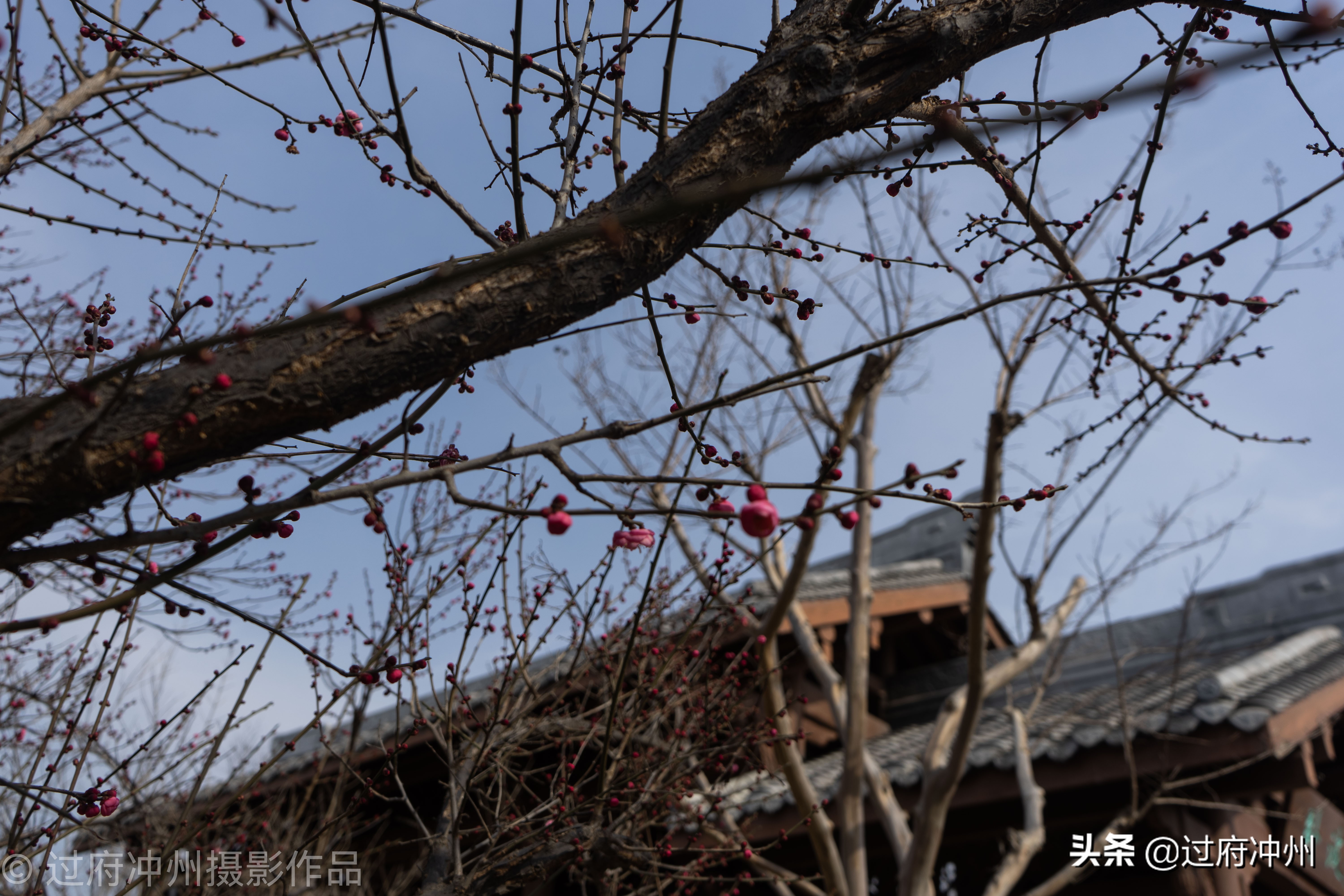 园博园郑州哪个季节好看,郑州园博园哪个园好看