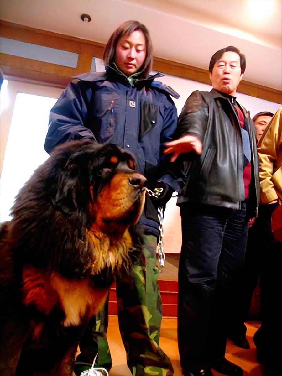 如今75岁的马俊仁安享晚年,马俊仁经历