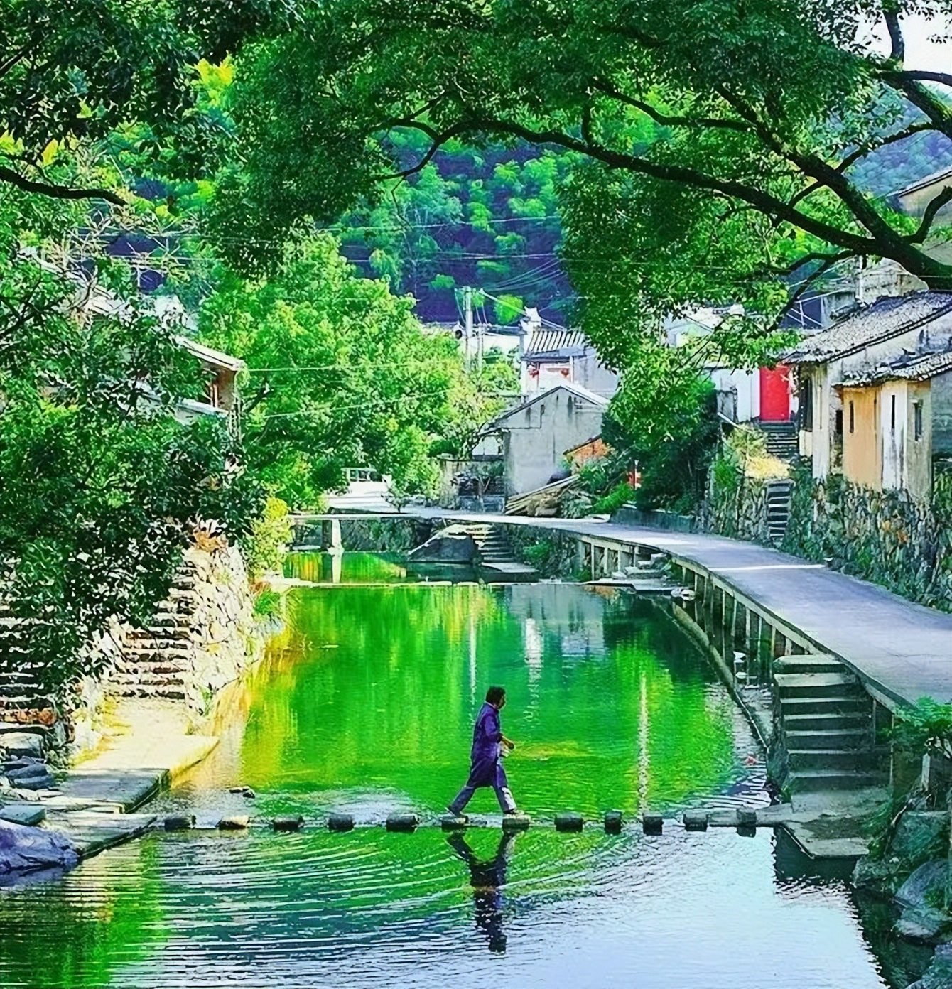 浙江十大徒步古道图片,浙皖十大古道景点介绍图