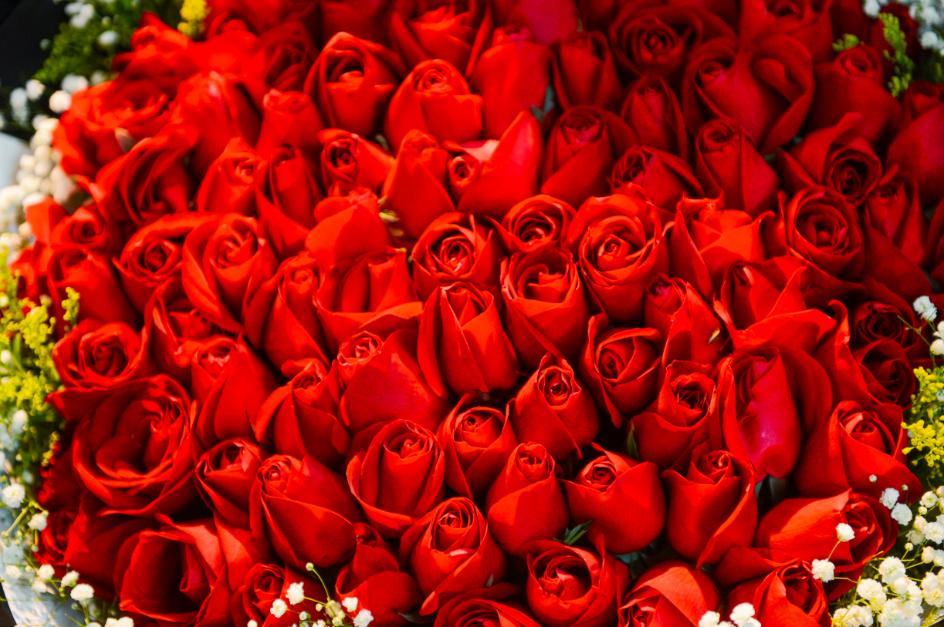 济南春天看花好去处,来济南买金子