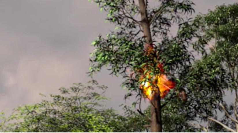 （一）中国烹饪概述火烹熟食是烹饪的起源烹饪小课堂（1）