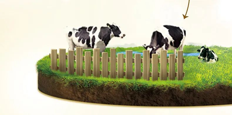 完达山菁美稚淳有机a2奶粉3段,完达山稚采a2奶粉怎么样