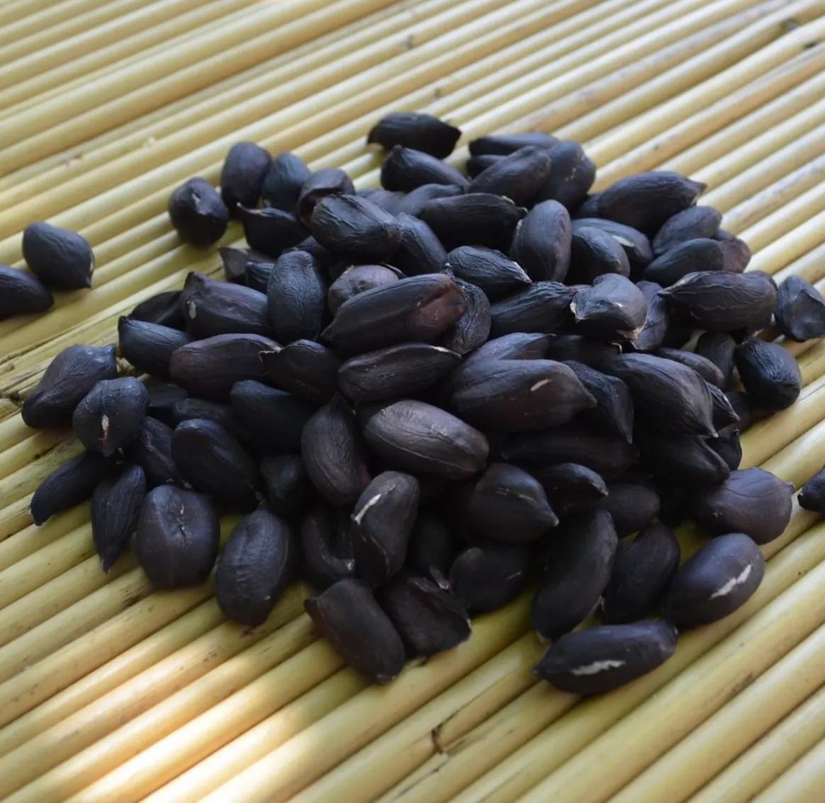 紫红花生和粉色的花生有区别吗,黑色花生和红色花生营养价值