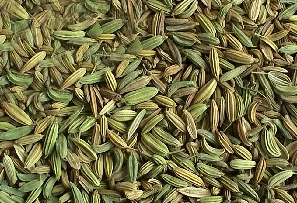 家常菜100道养胃下饭,煮什么菜好吃又暖胃