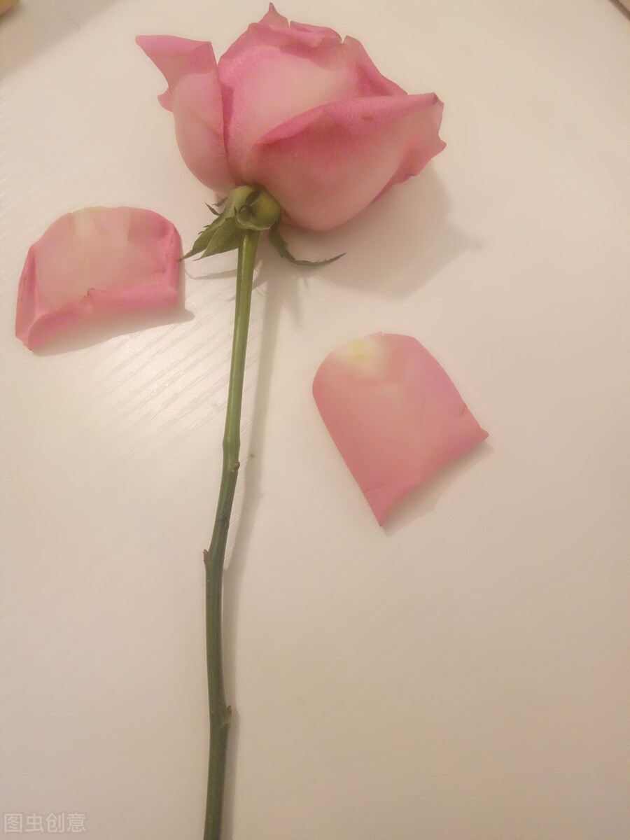 那些失去后才懂得珍惜的文案,拥有时不珍惜失去了才后悔的文案