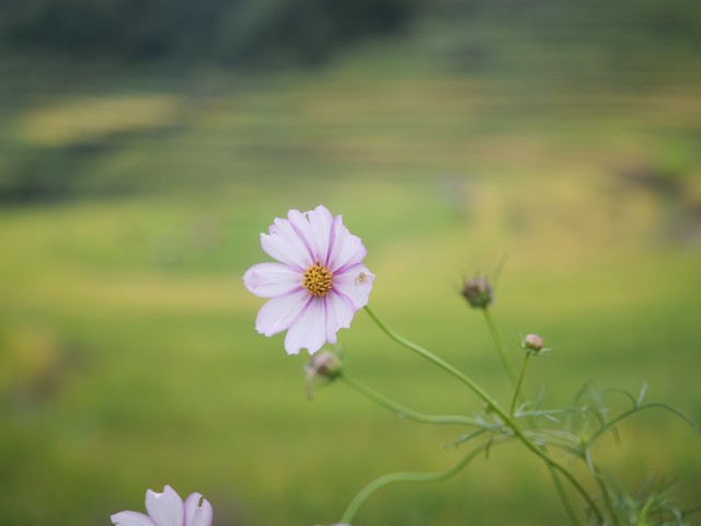 细节决定成败的感悟简短,细节决定成功的十句话