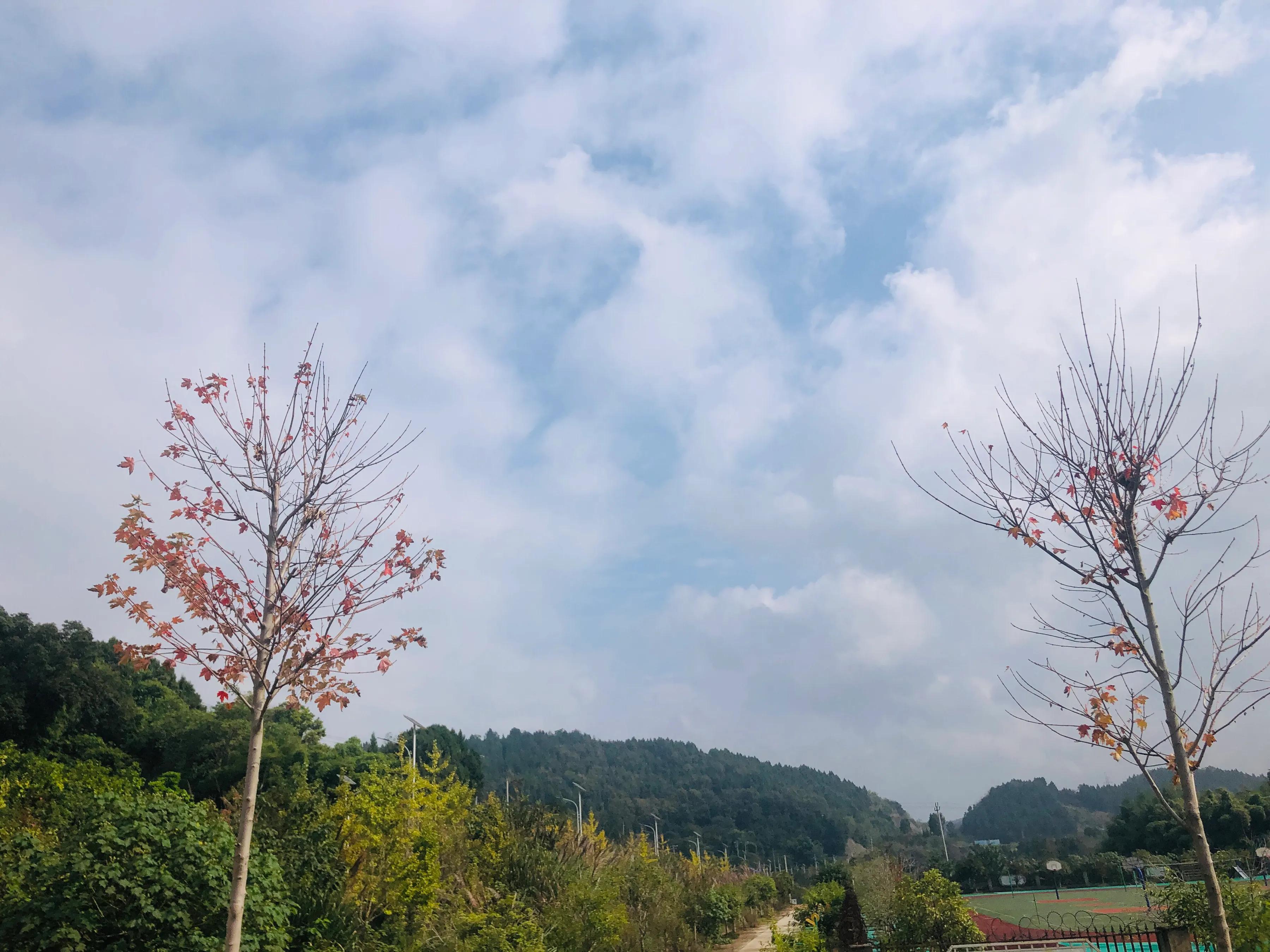 閲戝爞椴滆姳灞辫胺鍊煎緱鍘诲悧,閲戝爞椴滆姳灞辫胺娓歌