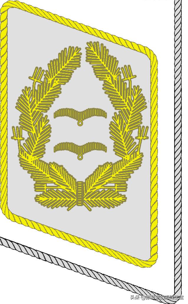 二战德国国防军医疗兵军衔标志