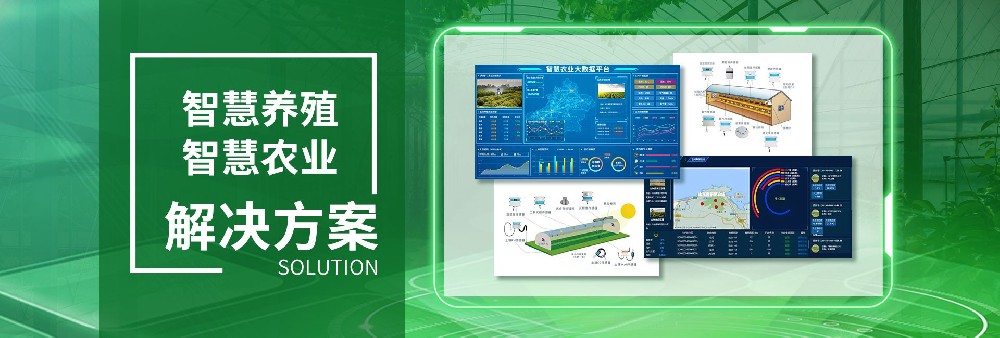 天津APP开发公司,天津app定制开发公司