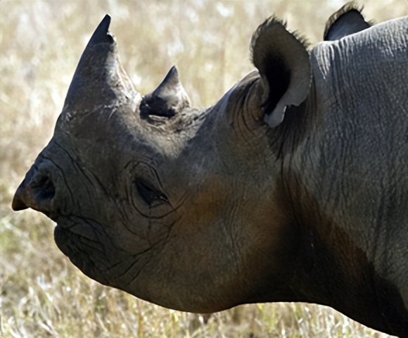 今天被骗了100元钱我能报警吗,你还在被骗吗