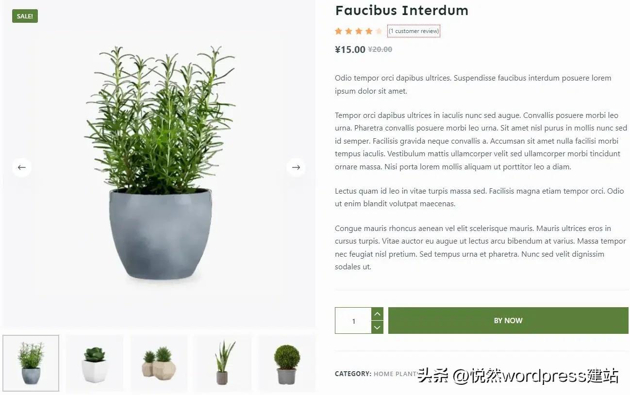 使用wordpress建站的操作过程,wordpress建站教程2023