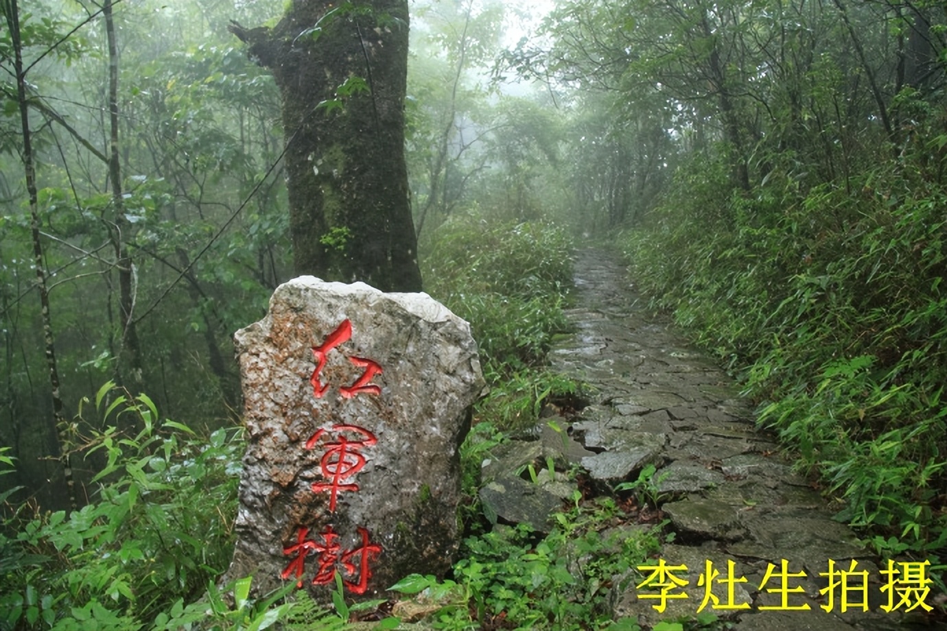 桂林猫儿山老山界,老山界猫儿山