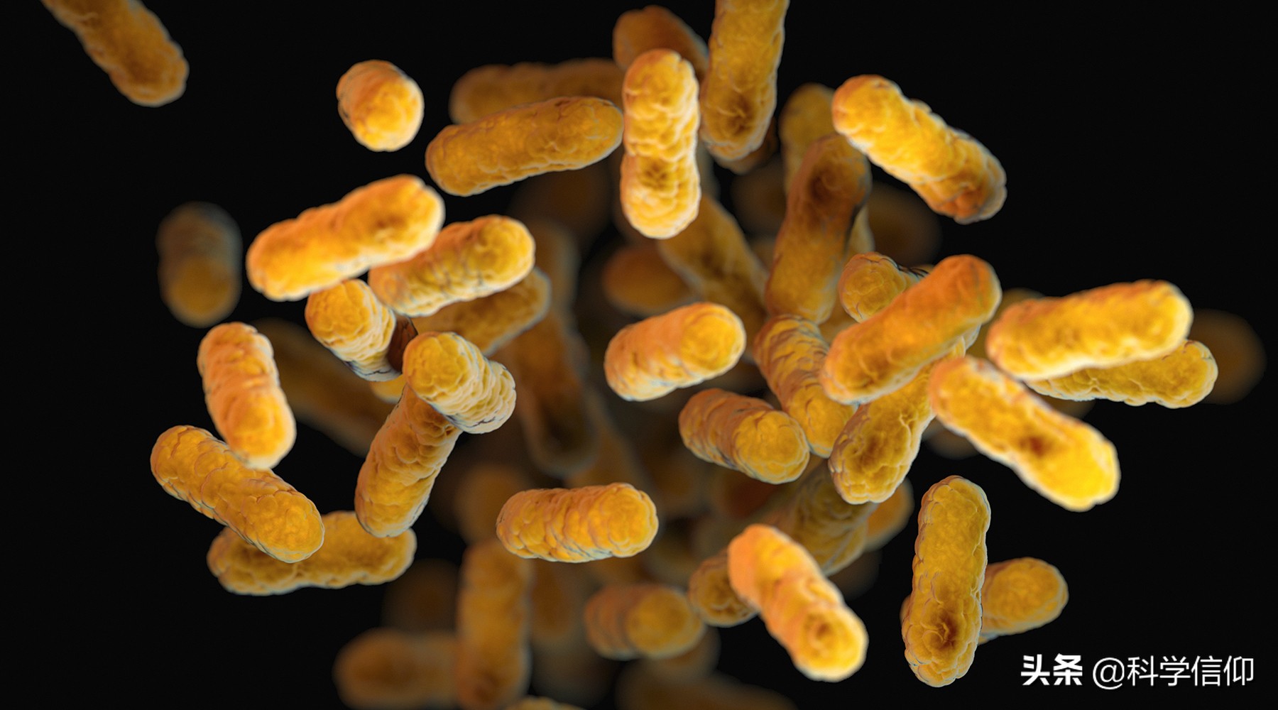 氮气没有参与呼吸作用,氮气可以用于呼吸吗