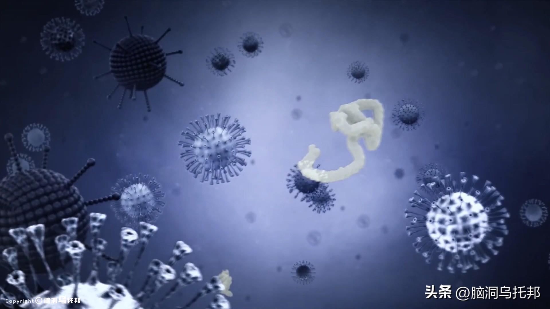 无症状感染是因为体质差吗,为什么有的人感染症状轻