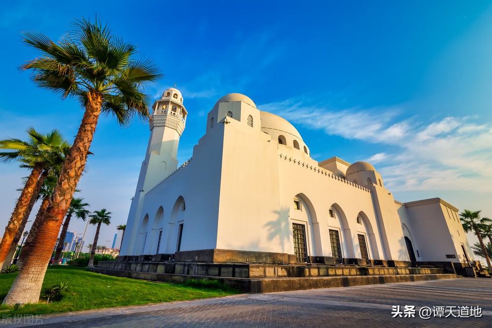 你不知道的国家冷知识沙特篇,沙特的冷知识100条
