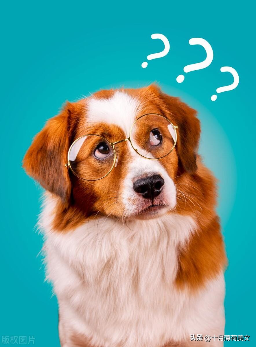 发朋友圈会被秒赞的有趣文案,做饭文案吸引人秒赞