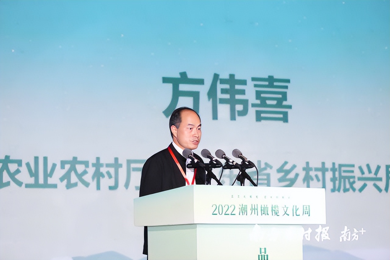 千年吉祥果焕发新机，潮州这颗“文化橄榄”筑起产业桥梁