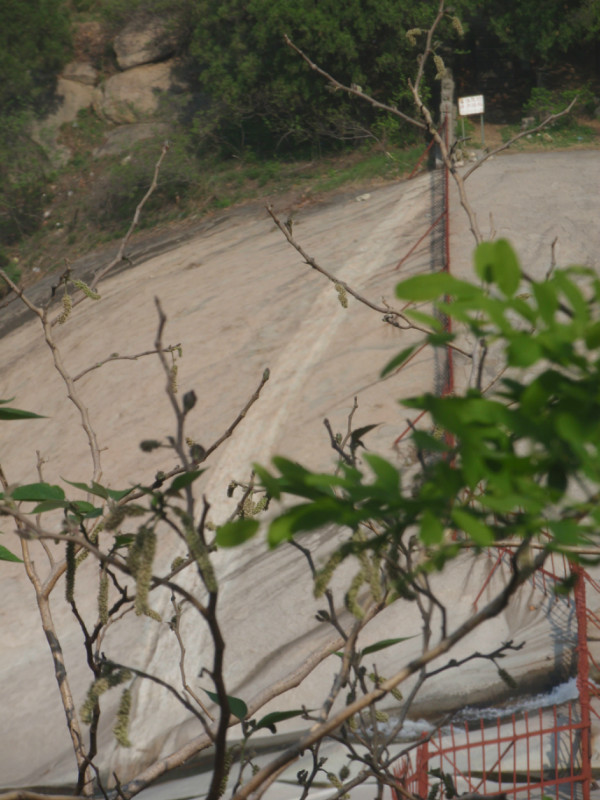 泰山扇子崖西边是傲来峰吗,泰山西麓